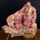 Inesita
6.5 x 6.5 cm
(Autor: Pedro Antonio)