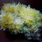 Yeso (variedad selenita)
110x90 mm.
(Autor: Jesus Franquesa Baucells)
