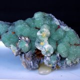 Wavellita
4 x 2.5 cm
(Autor: Pedro Antonio)