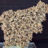 Yeso
11 x 7.5 cm
(Autor: Pedro Antonio)