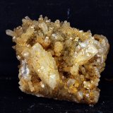 Celestina
7 x 5 cm
(Autor: Pedro Antonio)