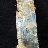 Yeso
17 x 5 cm
(Autor: Pedro Antonio)
