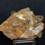 Celestina
8.5 x 5 cm
(Autor: Pedro Antonio)