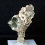 Yeso
4 x 2 cm
(Autor: Pedro Antonio)
