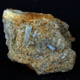 Celestina
8 x 6 cm
(Autor: Pedro Antonio)