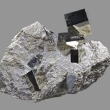 Pirita 
12,9 x 9,0 cm.
(Autor: Xavier bordas)