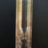Yeso
15 x 3.5 cm
(Autor: Pedro Antonio)