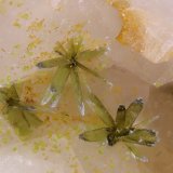 Olivenita
Abanico central 1 mm
(Autor: Jorgina-Agusti-Màrius)