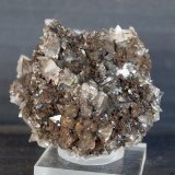 Calcita, Romanèchita
4.5 x 4 cm
(Autor: Pedro Antonio)