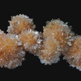 Creedita
9,6 x 5,2 cm.
(Autor: Xavier bordas)