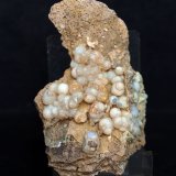 Cuarzo (variedad calcedonia)
7 x 4.5 cm
(Autor: Pedro Antonio)
