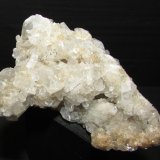 Celestina
7 x 6 cm
(Autor: Jordi Franco)