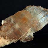 Yeso
14 x 7 cm
(Autor: Pedro Antonio)