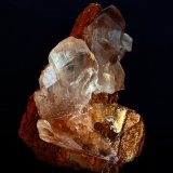 Yeso
11 x 8 cm
(Autor: Pedro Antonio)