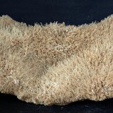 Yeso
17 x 7 cm
(Autor: Pedro Antonio)