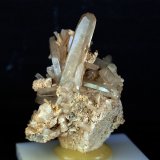 Celestina
5 x 3 cm
(Autor: Pedro Antonio)