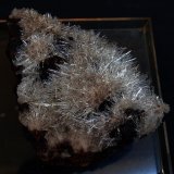 Yeso
8.5 x 6 cm
(Autor: Pedro Antonio)