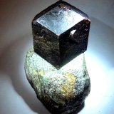 Granate (Grupo)
50x40 mm.
(Autor: Jesus Franquesa Baucells)
