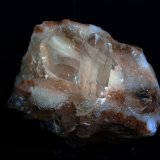 Yeso
5.5 x 4 cm
(Autor: Pedro Antonio)