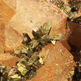 Calcopirita
Cristales de 1 a 1,5  mm
(Autor: Jorgina-Agusti-Màrius)