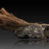 Balangeroita
13 x 37 x 12 cm
(Autor: Museo MIM)
