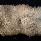 Yeso
16.5 x 10.5 cm
(Autor: Pedro Antonio)