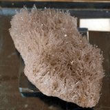 Yeso
7.5 x 4.5 cm
(Autor: Pedro Antonio)