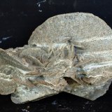 Yeso
7.5 x 5 cm
(Autor: Pedro Antonio)