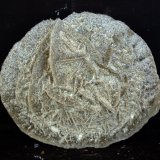 Yeso
6 x 6 cm
(Autor: Pedro Antonio)