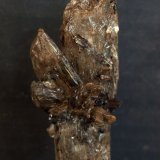 Yeso
9.5 x 4 cm
(Autor: Pedro Antonio)
