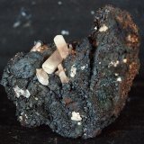 Cerusita
4.5 x 4.5 cm
(Autor: Pedro Antonio)