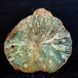 Prehnita
5.5 x 5.5 cm
(Autor: Pedro Antonio)