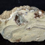 Celestina
6.5 x 4.5 cm
(Autor: Pedro Antonio)