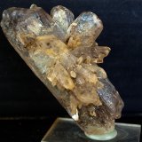 Yeso
8 x 4.5 cm
(Autor: Pedro Antonio)