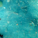 Crisocola
< 1 mm.
(Autor: José Luis Zamora)