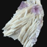 Fluorita, Barita
7,8 x 5,5 cm.
(Autor: Xavier bordas)