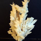 Aragonito
11 x 7 cm
(Autor: Pedro Antonio)
