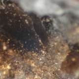 Fluoroflogopita
< 1 mm
(Autor: José Luis Zamora)