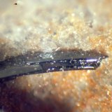 Pseudobrookita
< 1 mm
(Autor: José Luis Zamora)
