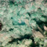 Conicalcita
< 1 mm
(Autor: José Luis Zamora)