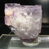 Fluorita
4cm
(Autor: yowanni)