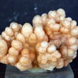Aragonito
7 x 5.5 cm
(Autor: Pedro Antonio)