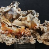 Cuarzo (variedad calcedonia)
11 x 7.5 cm
(Autor: Pedro Antonio)