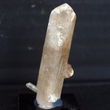 Celestina
5 x 1 cm
(Autor: Pedro Antonio)