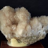 Celestina
8 x 5.5 cm
(Autor: Pedro Antonio)