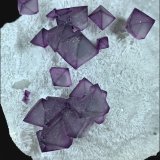 Fluorita
11,9 x 11,4 cm.
(Autor: Xavier bordas)