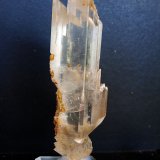 Yeso
12 x 4.5 cm
(Autor: Pedro Antonio)