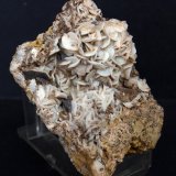 Cuarzo (variedad calcedonia)
8 x 5.5 cm
(Autor: Pedro Antonio)