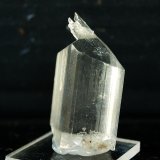 Yeso
4 x 2 cm
(Autor: Pedro Antonio)