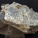 Cuarzo (variedad calcedonia)
9 x 8 cm
(Autor: Pedro Antonio)